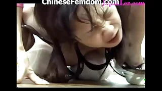 31235 asian porn videos